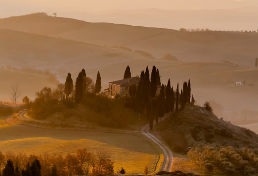 italie honing