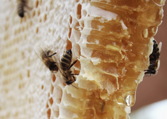 Wat is Rauwe Honing