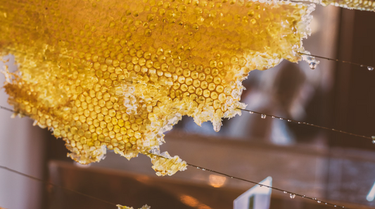 Voedingsstoffen Krachtpatser: Het Ontdekken van Rauwe Honing
