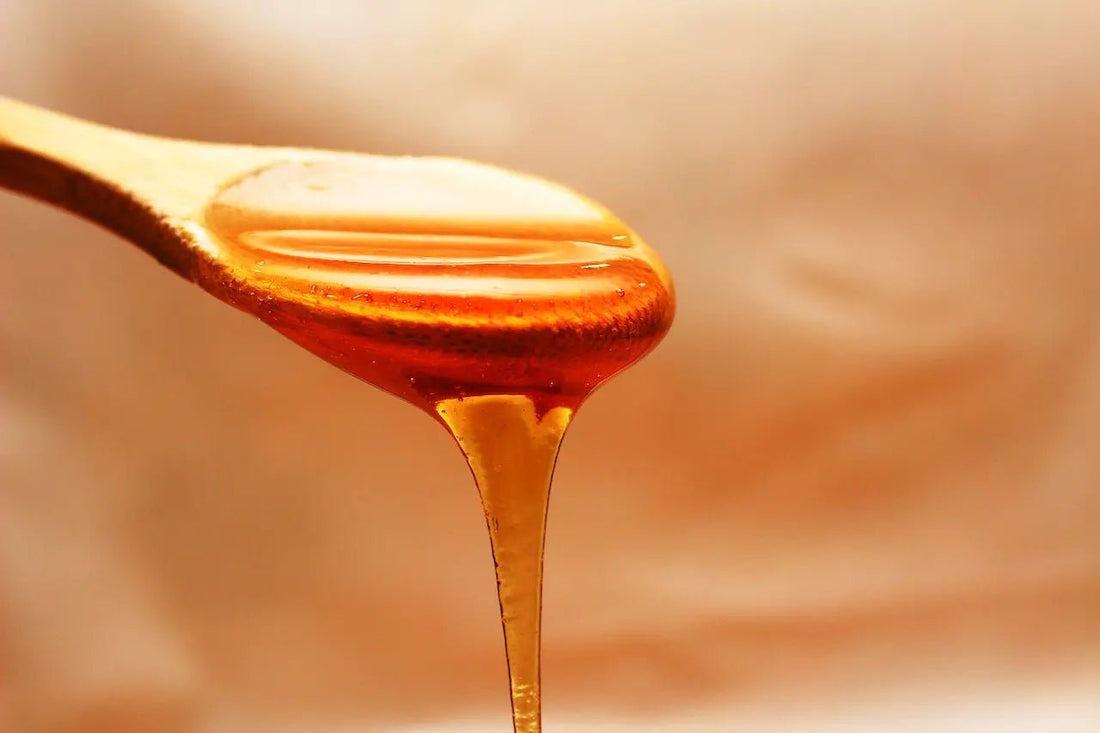 De werking van Manuka honing in 5 vragen - Honingwinkel