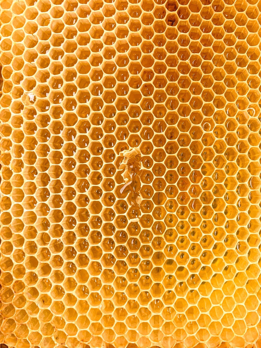 Wat is het verschil tussen vloeibare honing en crème honing? - Honingwinkel
