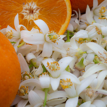 Premium oranjebloesemhoning vloeibaar Spanje 450g Honingwinkel (vloeibaar)